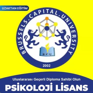 psikoloji lisans online