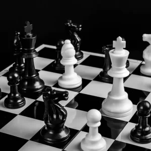 satranç sertifikası ve eğitimi prgoramı