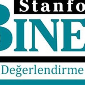 stanford-binet-zeka-olcegi-egitimiuniver-1337
