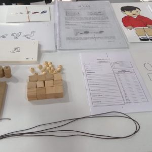 stanford binet zeka testi materyalleri