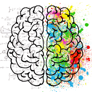 Catell 2A-3A Testi Sertifika Eğitimi