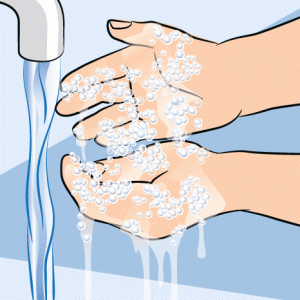 Hijyen Sertifika Eğitimi