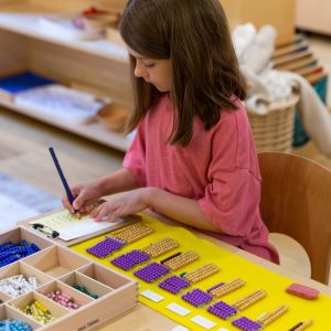 Montessori (100 Saat) Sertifika Eğitimi
