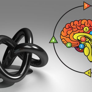 Zeka Oyunları Öğreticiliği Sertifika Eğitimi